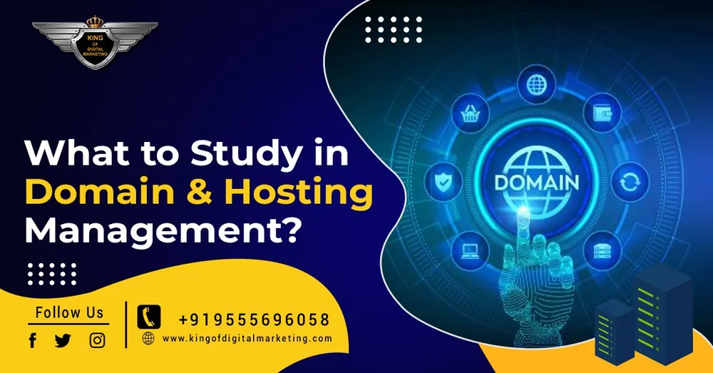 What to study in Domain and Hosting Management?