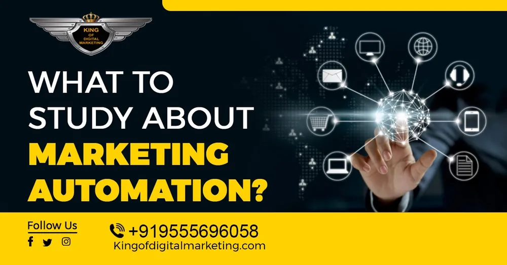 What to Study about Marketing Automation?