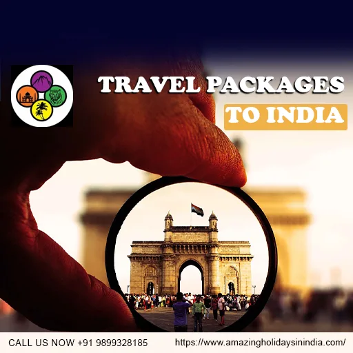 Amazing Holidays in India