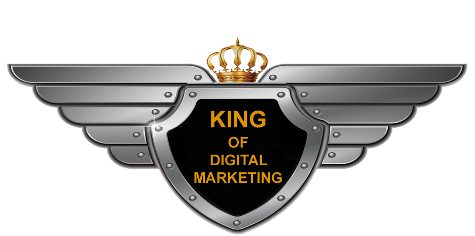 	King of Digital Marketing | Digital Marketing Company in Delhi, India